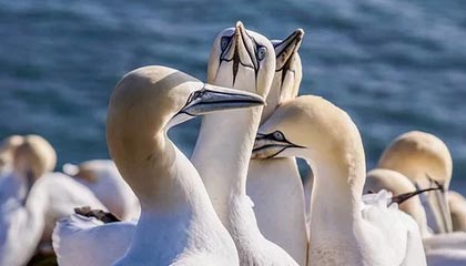 fb体育网页版-【比赛总结】胜负背后隐藏的战术智慧，比赛有胜负的下一句