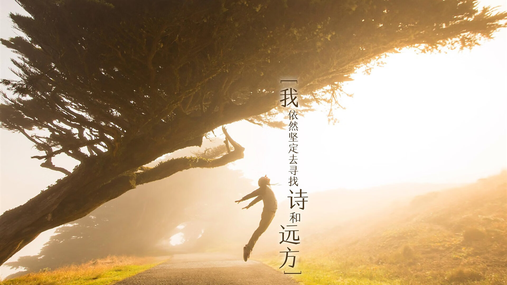 意大利足球职业联赛出现经济问题，俱乐部陷入困境，意大利所有足球俱乐部