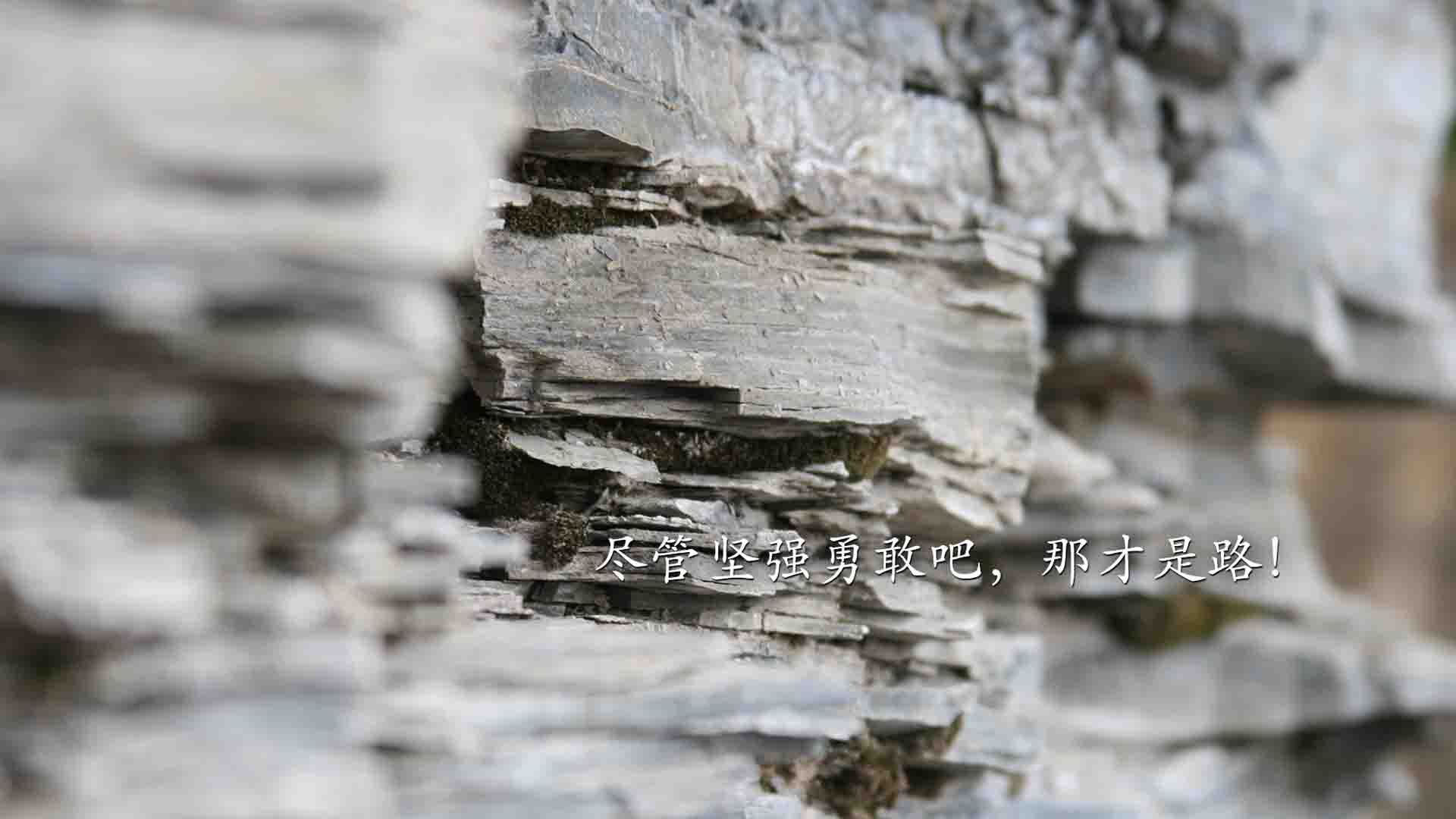 格林伍德的冷静应对与出色的球场位置感，帮助袋鼠队稳定防线，格林伍德打什么位置